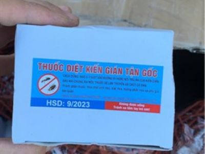 Thuốc diệt kiến dán tận gốc